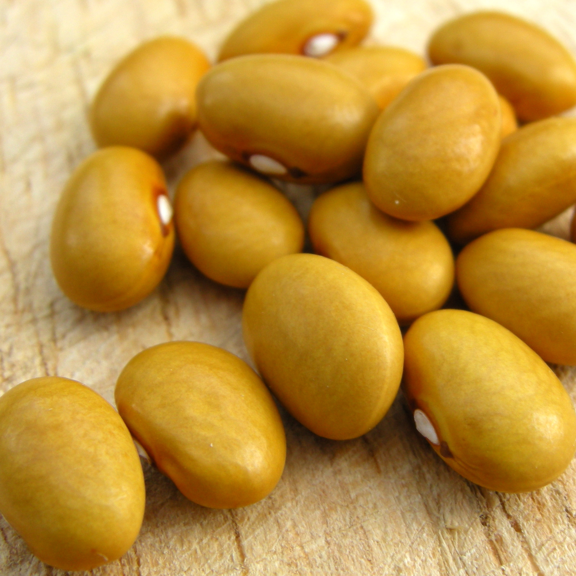 Frøkuvert til ministeren