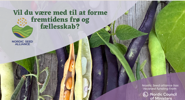 Webinarer gemte slides